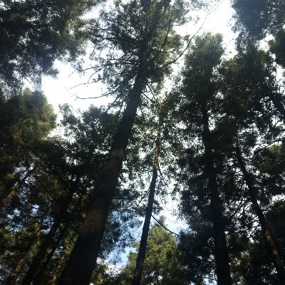 Gustavoybety's profile picture. Sociable