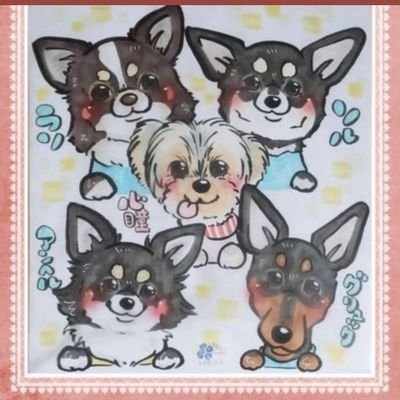 「THE FIRST」が、音楽が与えてくれる幸せを再認識させてくれました🎵
BMSGのみんなを応援しています✨
初LIVE♪Novel Core(22’/4/28)
SKY-HI(22’/7/30)BE:FIRST(22’/10/5)
初心者なので、失礼があったらすみません🙇