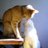 babbi_0517