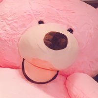 ใใ๐ข๐ค๐ถ (@kamejunon) 's Twitter Profile