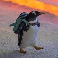 matcha_milk3🐧 (@maccha_milk3) Twitter profile photo