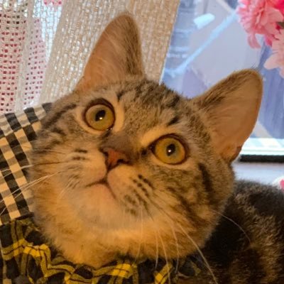 moma1425's profile picture. BE:FIRST☺︎MAZZEL☺︎HANA☺︎︎BMSGPOSSE☺︎︎家族で応援☺︎RT多め☺︎︎BMSG垢フォロバ100%☺︎アキテク☺︎