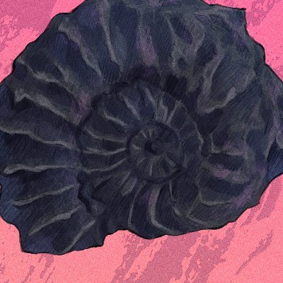 Ammoniteさんのプロフィール画像