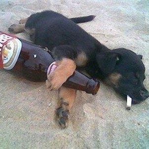 UndefinedRana's profile picture. अति घन्ना घनघोर सम्प्रदायिक "असाहिष्णु" # भगवा राष्ट्रवाद के साथ जब तक भारत की धर्मनिरपेक्षता दोनों छद्म धर्मनिरपेक्षता हरी है