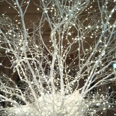 ぼへみ＠謎の凍結から復活😇