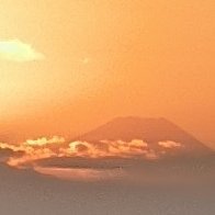 atona_rays's profile picture. 初心者🔰20↑🌻ご飯好き🍚ガジェット系も好き📱旅行🛫グルメ🍖スイーツ🍨ゲーム🎮音楽🎧色々興味あります🍀無言フォロー歓迎✨️
当選の際は報告させて頂きます🌺 #atonaの当選報告