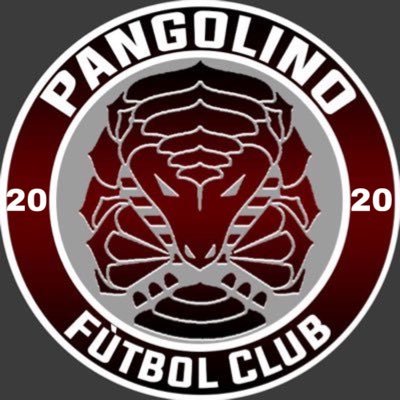 Pangolino football club official account || 185M 💰 || 🕵 Présidents : @AouarRP X @Dfconoob | Coach : @BGensioRP | Directeur Sportif : @JK6_RP ⚽