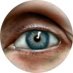 Charlotte Donald Wilson (@cdw_illustrator) Twitter profile photo Charlotte Donald Wilson (@cdw_illustrator) Twitter profile photo