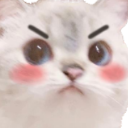 Rosabat1's profile picture. 