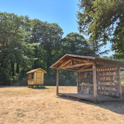 Alessan95399390's profile picture. 