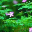 Danielle Greer - @DanielleGreer72 - Twitter