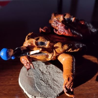 Long10Far_18plu's profile picture. half drunken slob writer little bit crazy (rest of the time just me here) ://