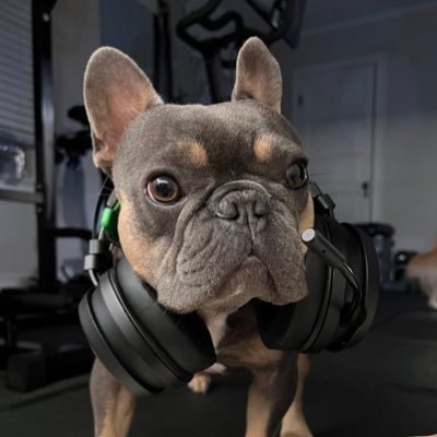 Bleu_woof Profile Picture