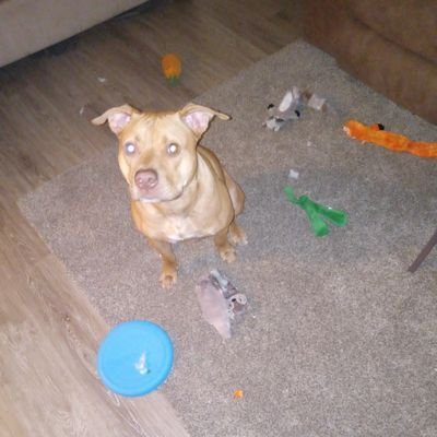 RobertH941flo's profile picture. Uniquely me
