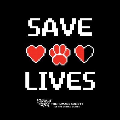 The home of all things Twitch streaming for the @HumaneSociety. Join the #FightForAllAnimals and #StreamForAllAnimals with us! 🐾