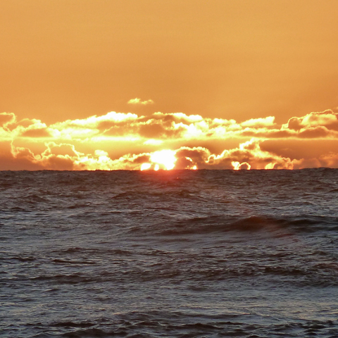 HawaiiNaturist's profile picture. An INFP celebrating naturism in Hawai`i and around the world. ( . Y . ) #FreeTheNipple