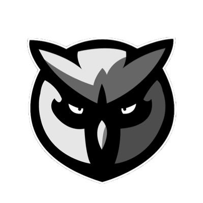 OwlDubz's profile picture. Content creator for @OddysseyGG TOP .1% for Wraith in arenas - Yes, that is my claim to fame #FeatherFam