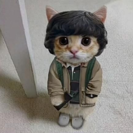 Derann9's profile picture. No valgo nada y punto!!!🐷