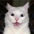 uda4i's profile image