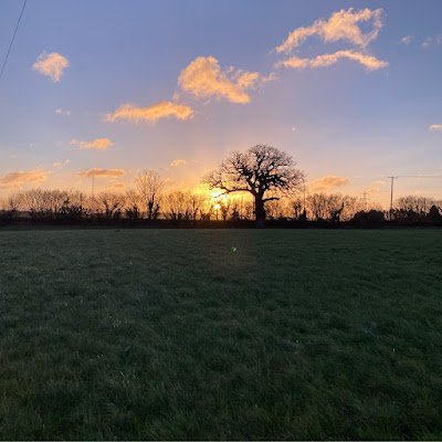 lillieandrewsx's profile picture. 