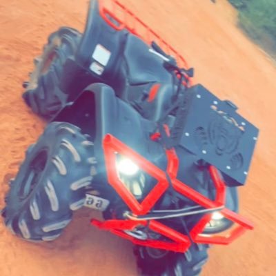 fukwitfern's profile picture. 🐐