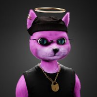 RagdollCat | CNFT (@ragdollcatcnft) 's Twitter Profile