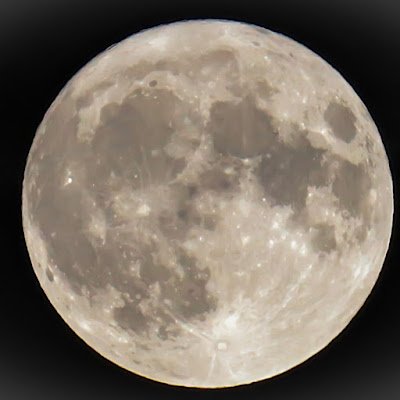 LisaZahn10's profile picture. 