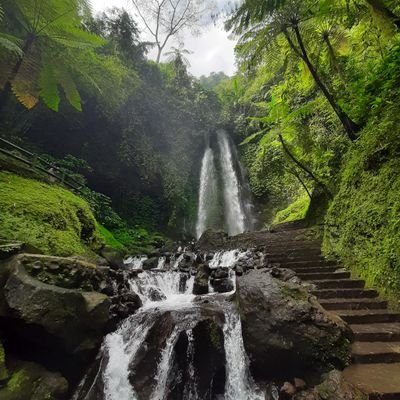 Ryanpusing17's profile picture. Ryan ~》