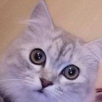 e♏♍🅰 (@emanahmedella) 's Twitter Profile