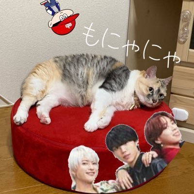 もにゃにゃ。🧢🐬🐩✨BESTY✨Next➡️ﾌｪｽ初日9.27🥳さんのプロフィール画像