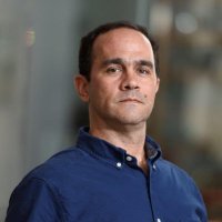 Donato, PhD 🚩 (@carlo_donato) 's Twitter Profile