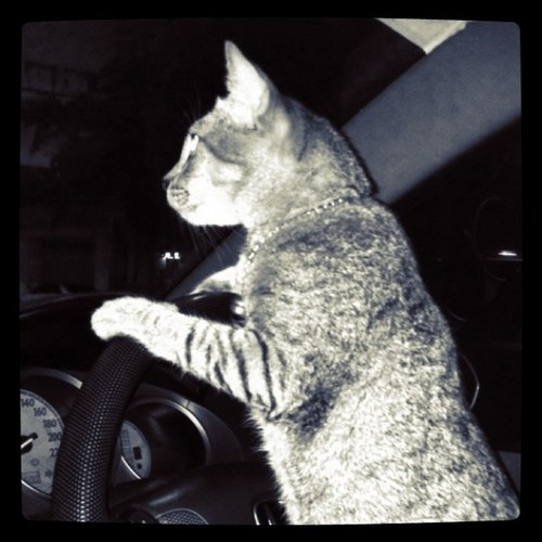 Pilantarat's profile picture. 