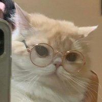 Agusss💎 (@aguss2117) 's Twitter Profile