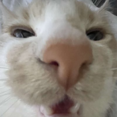 Jayzixz's profile picture. fuck it we ballin