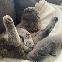 Dane (@danedatdude) 's Twitter Profile