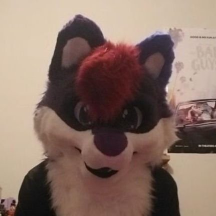 21 will rt 18+💜Gay Furry bitch🏳️‍🌈@dmcostumes suiter🐺singer🎶dancer💜actor💜does art💜100% paw slut🐾my vocabulary is Sarcasm💜🖤💙Taken by @ZGetsune💜🖤💙
