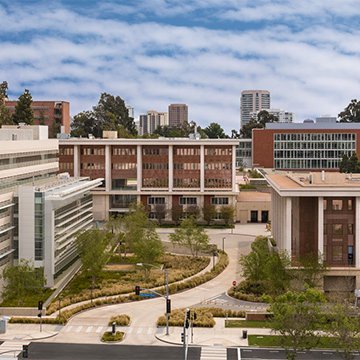 UCLA Stein Eye and Doheny Eye Institutes are dedicated to the preservation and restoration of vision.