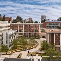 UCLA Stein Eye Institute(@UCLASteinEye) 's Twitter Profile Photo