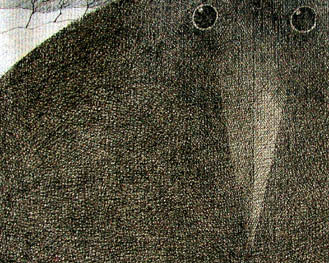 MarkLavorato's profile picture. Writer