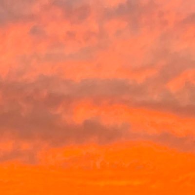 yukineige17's profile picture. Jリーグ❄️spulse❄️美術鑑賞❄️読書