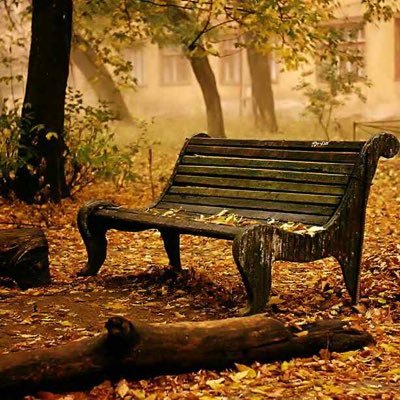 AbH12690's profile picture. 💙💛