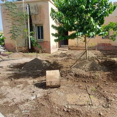 tqluka's profile picture. Taluka health office