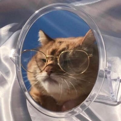 like__hae's profile picture. アイドル狂い