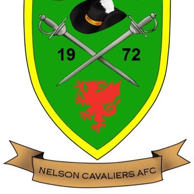 nelsoncavsafc Profile Picture