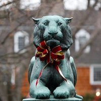 Caoimhín (@politicallycat3) 's Twitter Profile Photo