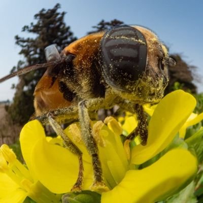 pioloelhermoso's profile picture. Cantante filarmónico, escritor en ciernes, ¿Arquitecto? A veces. Beisbolista frustrado. Todas las necedades volcadas aquí son meras opiniones personales.