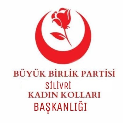 İlçe Kadın Kolları Başkanı SELİN SARI