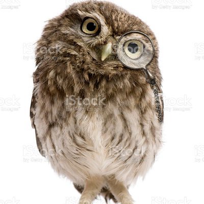 Hawkeyed_owl's profile picture. Just  A Keen Observer