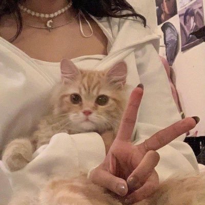 yooyld's profile picture. 