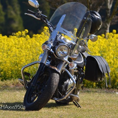 卓球が好きで、頑張っている大人の男です。
サーブが上手になりたく、日々いろんな動画を参考にさせていただいてます。